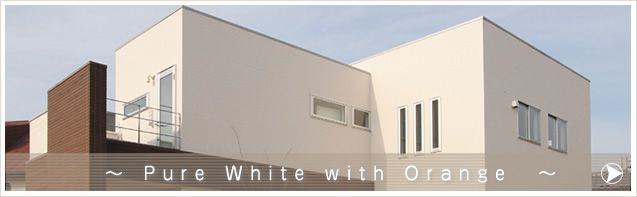 Pure White with Orange