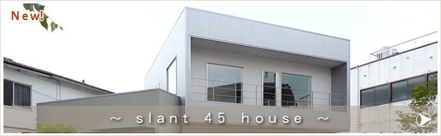 slant 45 house
