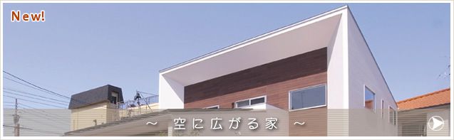 空に広がる家